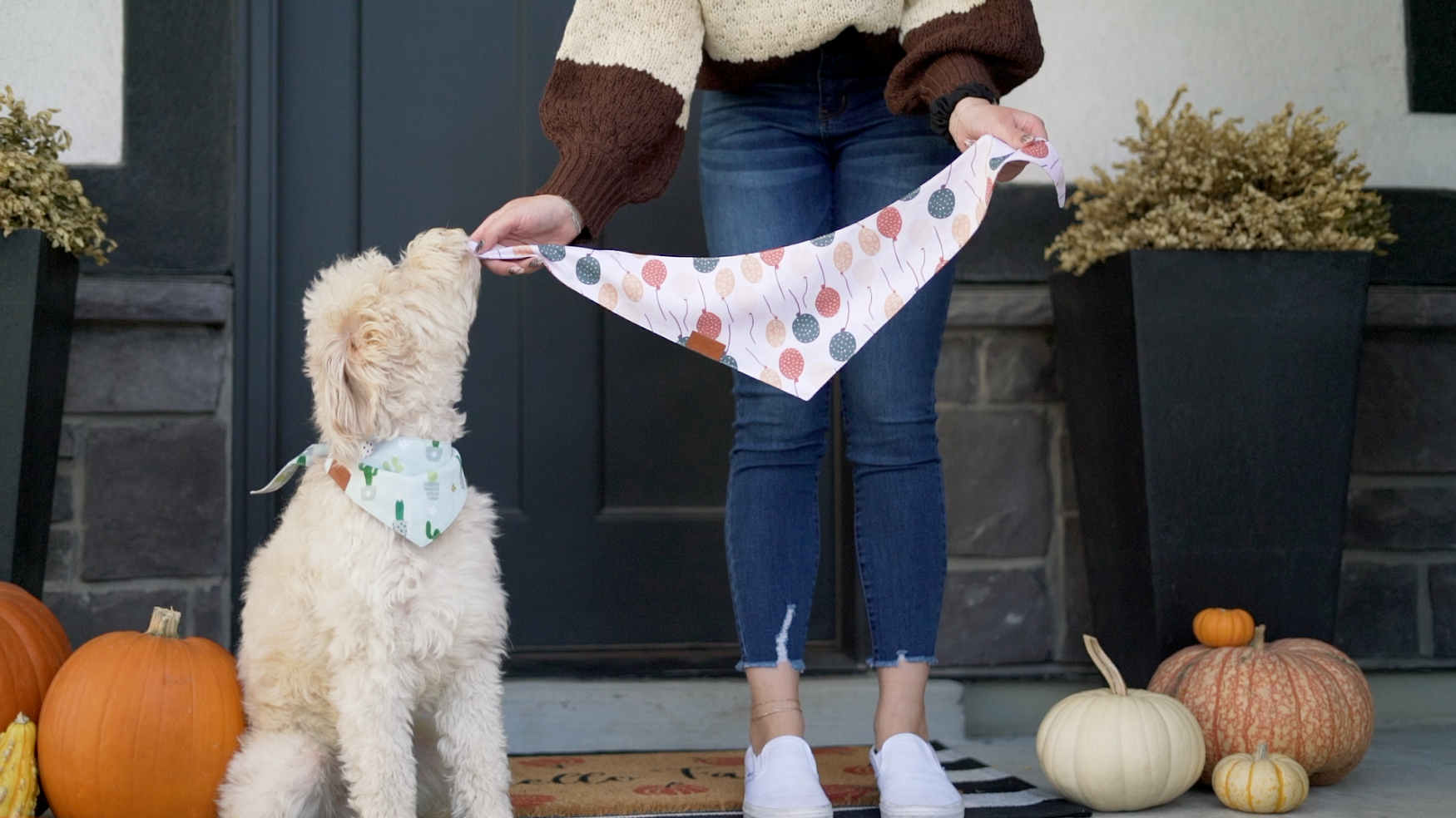 Dog sales bandana manufacturer