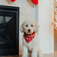 Ugly Sweater